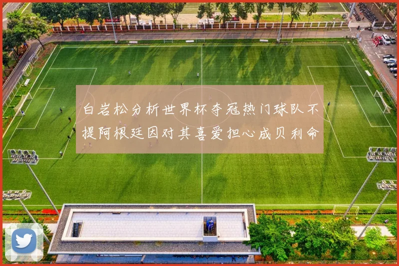 白岩松分析世界杯夺冠热门球队不提阿根廷因对其喜爱担心成贝利命运